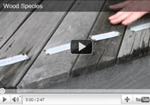 Ipe decking outlasts and outperforms all other wood decking species