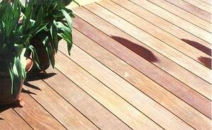 Ipe decking lasts...and last beautifully