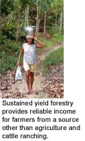 Sustainable yield forestry benefits the community and the environment.