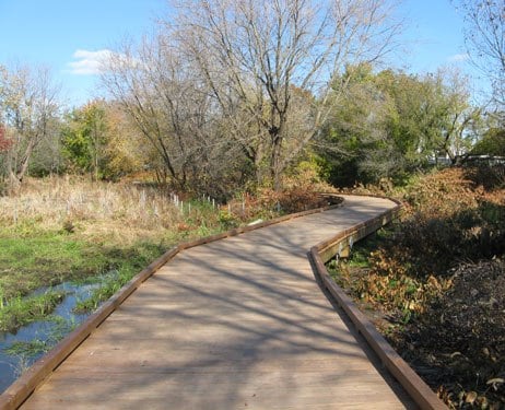 Ipe bridge at Alewife Brook Greenway
