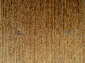 Ipe decking pre-drilled and screwed with ipe plug
