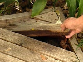 pressure_treated_lumber_rotting