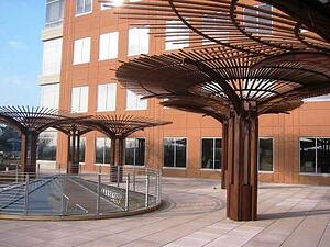 Machiche hardwood overhead design elements in outdoor architectural design