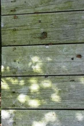 Mold Problems With Decking Materials
