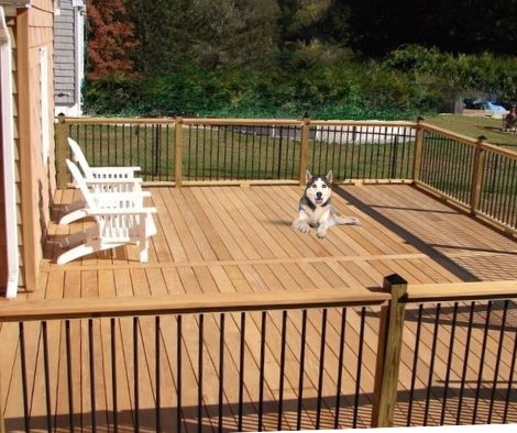 Dog shop proof railings
