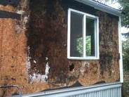 Black mold rotting out the entire exterior and interior wall.jpg