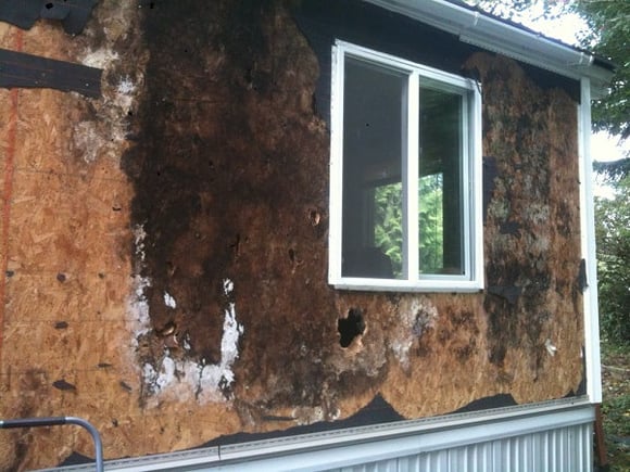 Water intrusion, mold, rot and decay ruining the entire wall of a home
