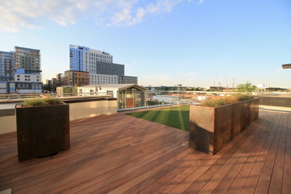 Cumaru hardwood rooftop deck