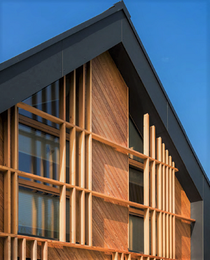 Diagonal wood rainscreen siding design with vertical accents