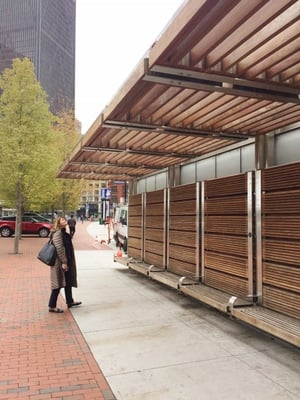 Ipe benches and pergola in Boston