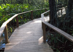 Ipe decking on walkway bridge in Everglades