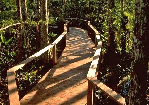 Ipe decking, posts and railings on boardwalk at Corkscrew Swamp Sanctuary