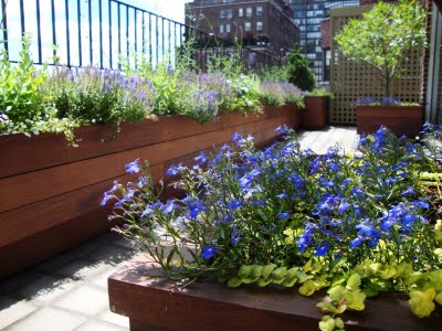 Hardwood planters make a flower garden oasis on a city deck