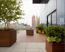 Ipe rooftop deck and patio- Organic Gardener