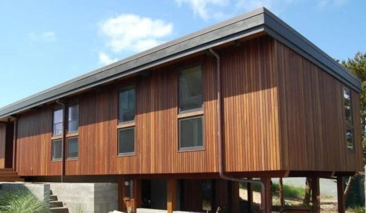 Ipe vertical wood rainscreen