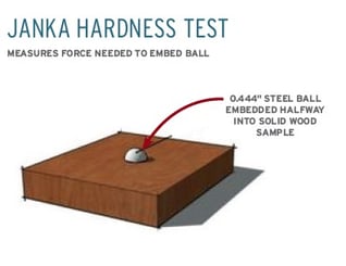 Janka Hardness Test measurement