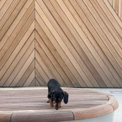 Mataverde SaferWood Thermally Modified Wood Rainscreen Siding featuring dachsund  @sirwinstonwiener