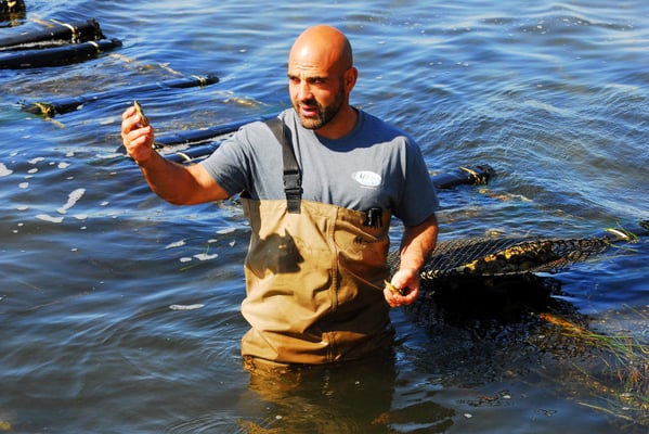 Matunuck Oyster Farm-Tour South Kingstown RI