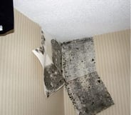 Mold will infiltrate through to the inside of the home over time.jpg
