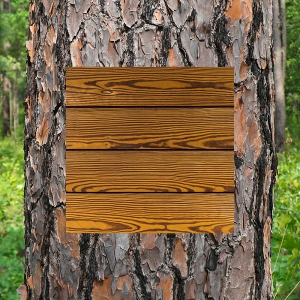 Southern Yellow Pine - Southeast, Thumbnail of thermally modified finished product overlaid on bark