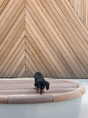 Thermawood Hemlock diagonal rainscreen siding at Triangle Park in Baltimore by Mataverde Decking and Siding