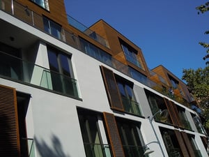 Thermo ash rainscreen cladding