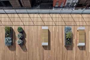 Thermowood thermally modified wood decking on rooftop