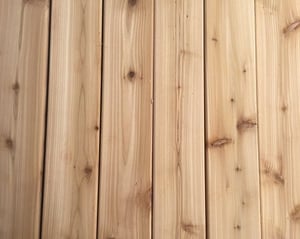 Western red cedar 