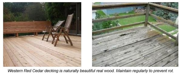 Western red cedar wood decing is beautiful. Maintain regularly to prevent rot
