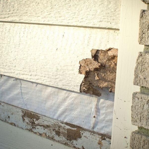 blog composite siding damage