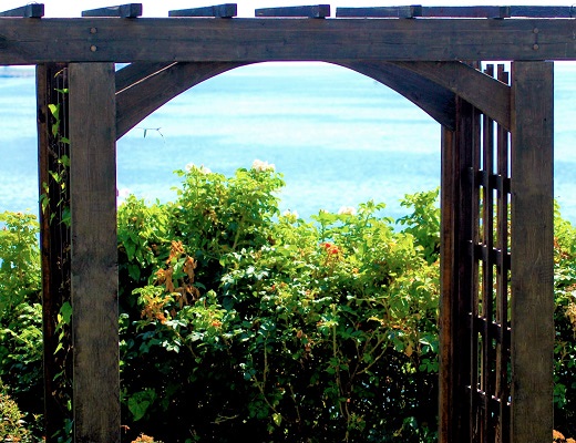 Free standing wood pergola with bench seating in a seashore garden