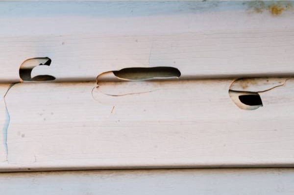 stock photo of holes in beige vinyl siding from hail damage