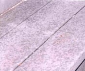 composite decking with mildew