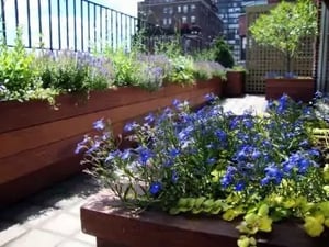Mataverde Ipe wood planters on rooftop deck