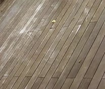mahogany-decking-weathering-6486e06f4147c