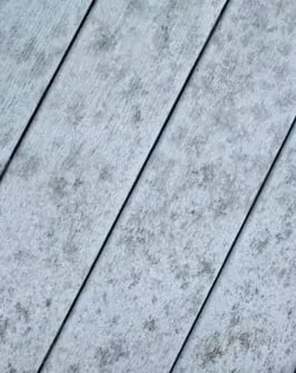 mold-on-composite-decking-1