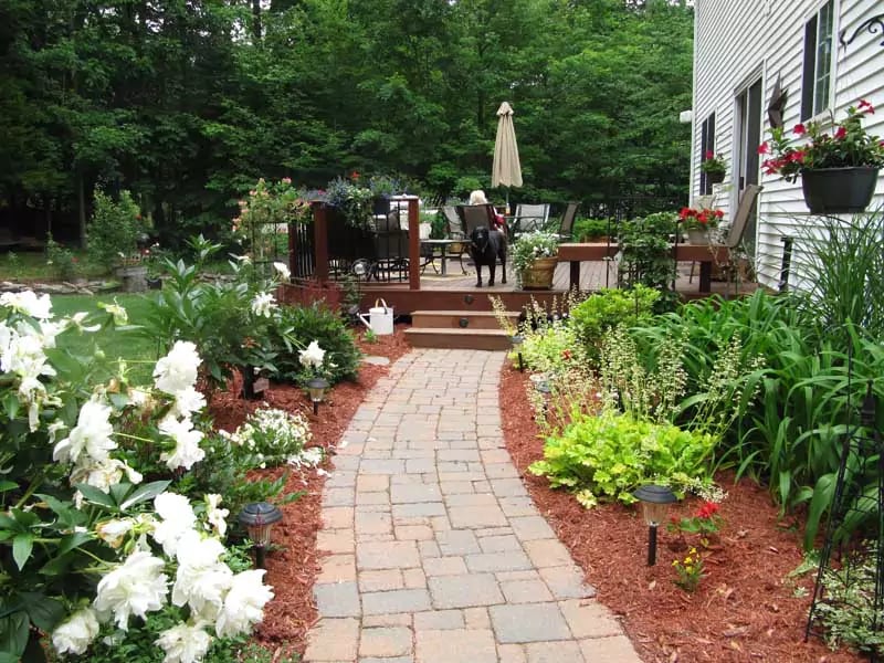 ipe-deck-with-walkway-and-dog