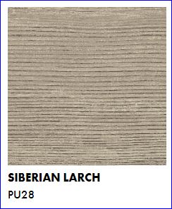 siberian larch