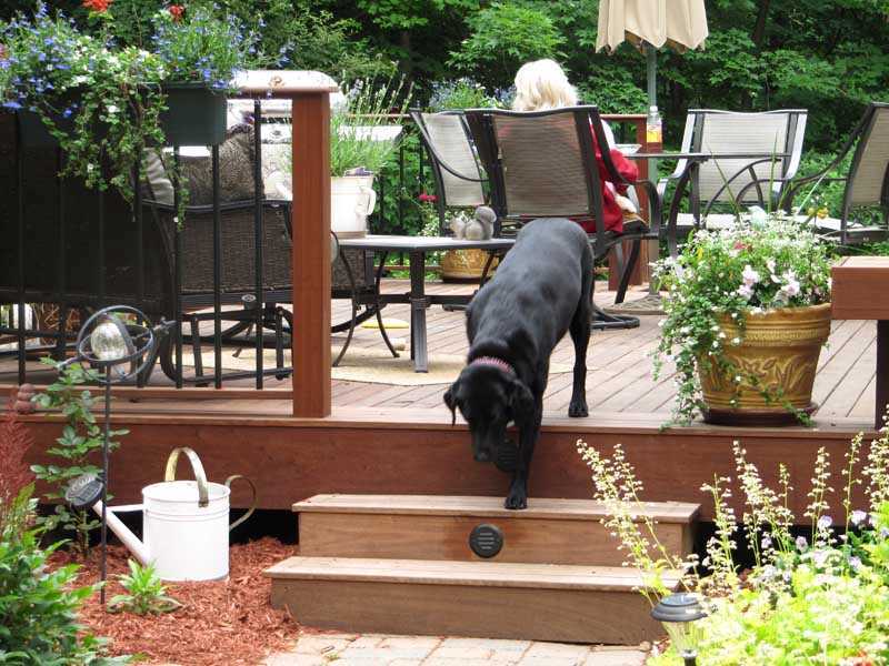 Ipe wood decking and pergolas