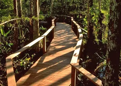 Ipe Decking Stands the Test of Time on Florida Boardwalk