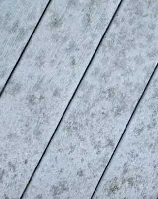 Mold Problems with Decking Materials